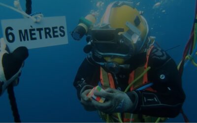 Analyse du marché français des travaux sous-marins